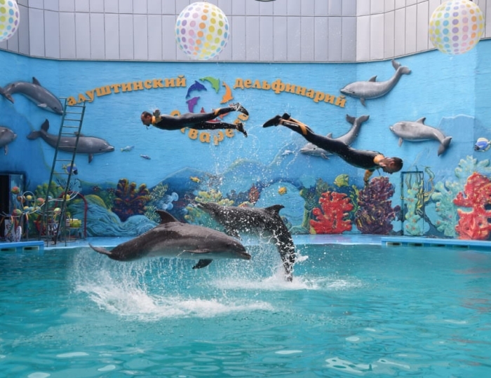 Развлечения на территории курорта - Отель «Русалма»