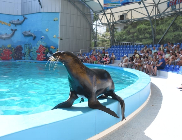 Развлечения на территории курорта - Отель «Русалма»