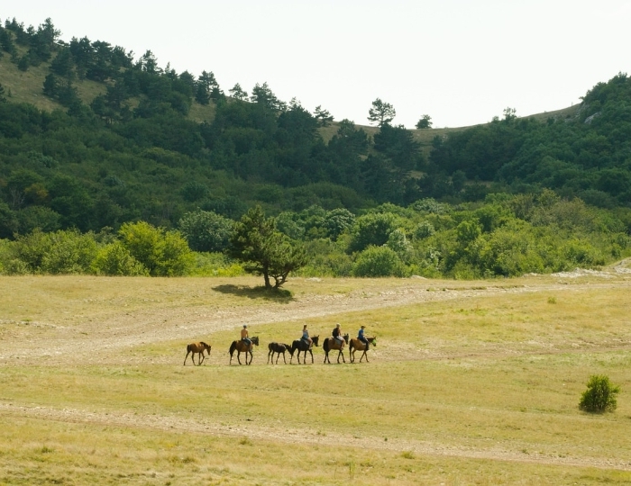Экскурсионное бюро - Отель «Русалма»